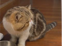 -参差咖啡(水果湖公园店)