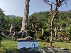 -深圳仙湖植物园