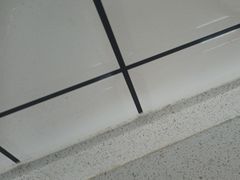 -天鹅到家·保姆月嫂育儿嫂(天河店)