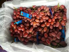 -临港浦江科技广场-停车场