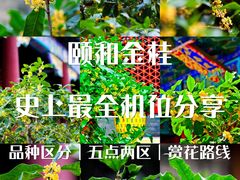 -颐和园