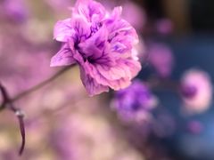 -妃比花艺(光启城时尚购物中心店)