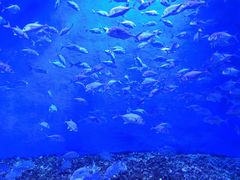 -波塞冬旅游度假区