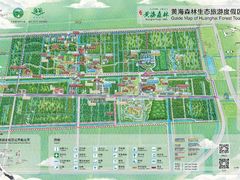 -黄海国家森林公园