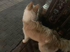 -豆舞咖啡(民乐路店)