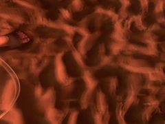 -三亚海棠湾万丽度假酒店