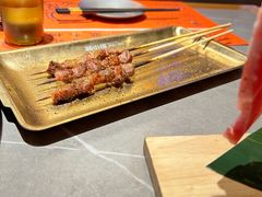-杨小佳·齐齐哈尔烤肉·烤串(广州店)