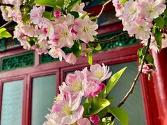 -元大都城垣遗址公园