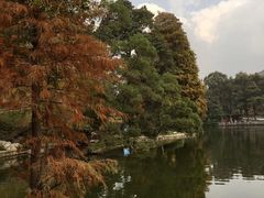 -云溪植物园