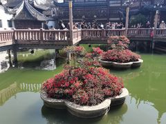 -豫园