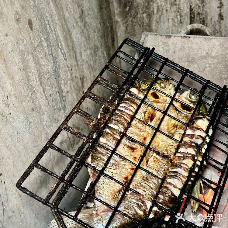 解锁我的专属烤鱼,一不小心就暴露真实性格啦~