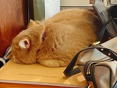 -MIMO CAFE(沙头角店)