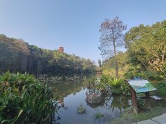 -深圳仙湖植物园
