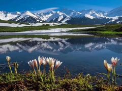 -赛里木湖风景名胜区