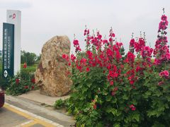 -三盛公水利风景区