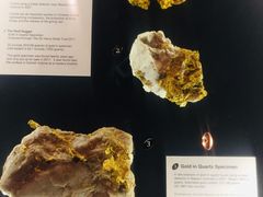-疏芬山金矿