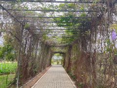 -芒洲湿地公园