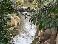 -茅家埠