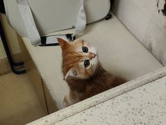 -芭比堂动物医院广州顽皮分院