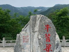 -牛背梁国家森林公园