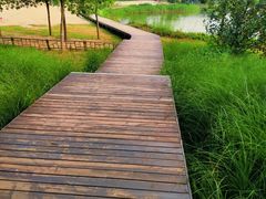 -东郊湿地公园