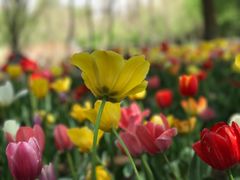 -长春公园(普阳街道)