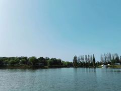 -上海长兴岛郊野公园