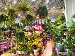 -三旗百汇商品城