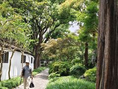 -上海醉白池公园