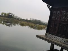 -船歌·鱼水饺青岛菜(合肥路永旺店)