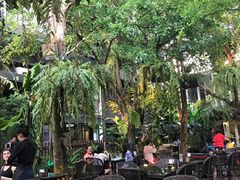 -Fern Forest Cafe