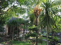 -飞鱼&摩娜潜水度假村