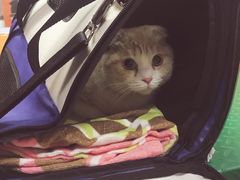 -惠康宠物医院(华能路店)