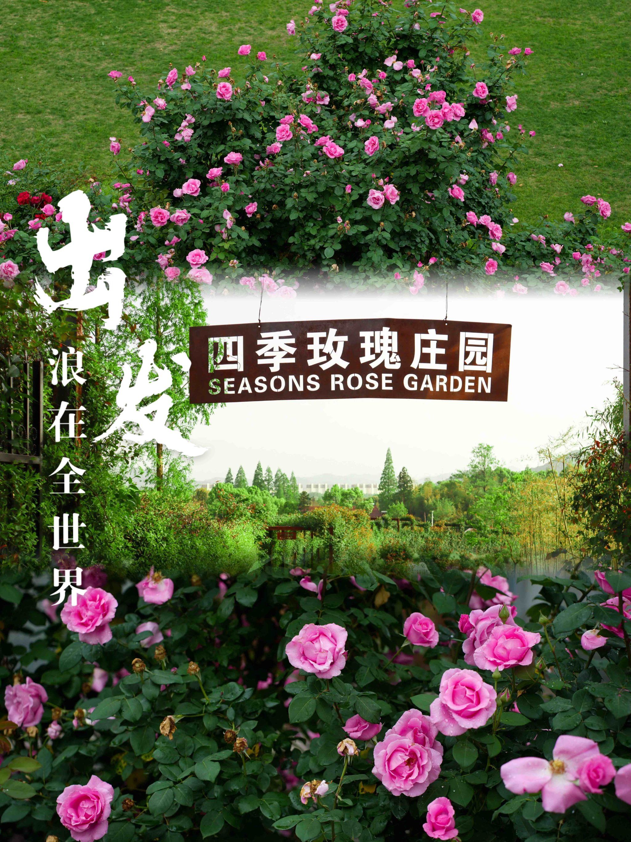 我在玫瑰庄园等你!