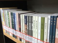 -朝阳区图书馆(小庄店)