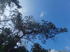 -广东温泉宾馆