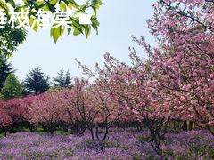-白塘生态植物园