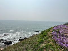 -燕儿岛山公园