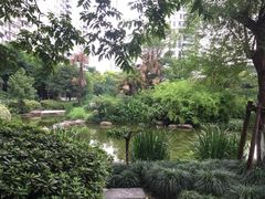-新湖明珠城