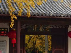 -汇龙潭