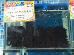-蚝专家(北滘店)