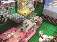 -丽达购物中心(崂山店)