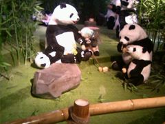 -成都泰迪熊博物馆