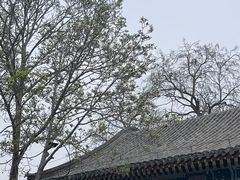 -荣国府