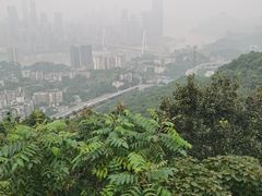 -南山植物园
