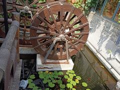 -慢丽江·云南野生菌土鸡锅(西山店)