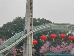 -南山植物园