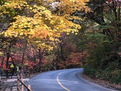 -关门山森林公园