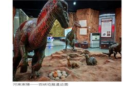 -中国西峡恐龙遗迹园