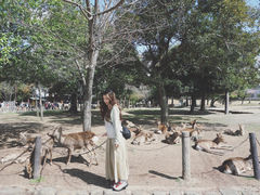 -奈良公园